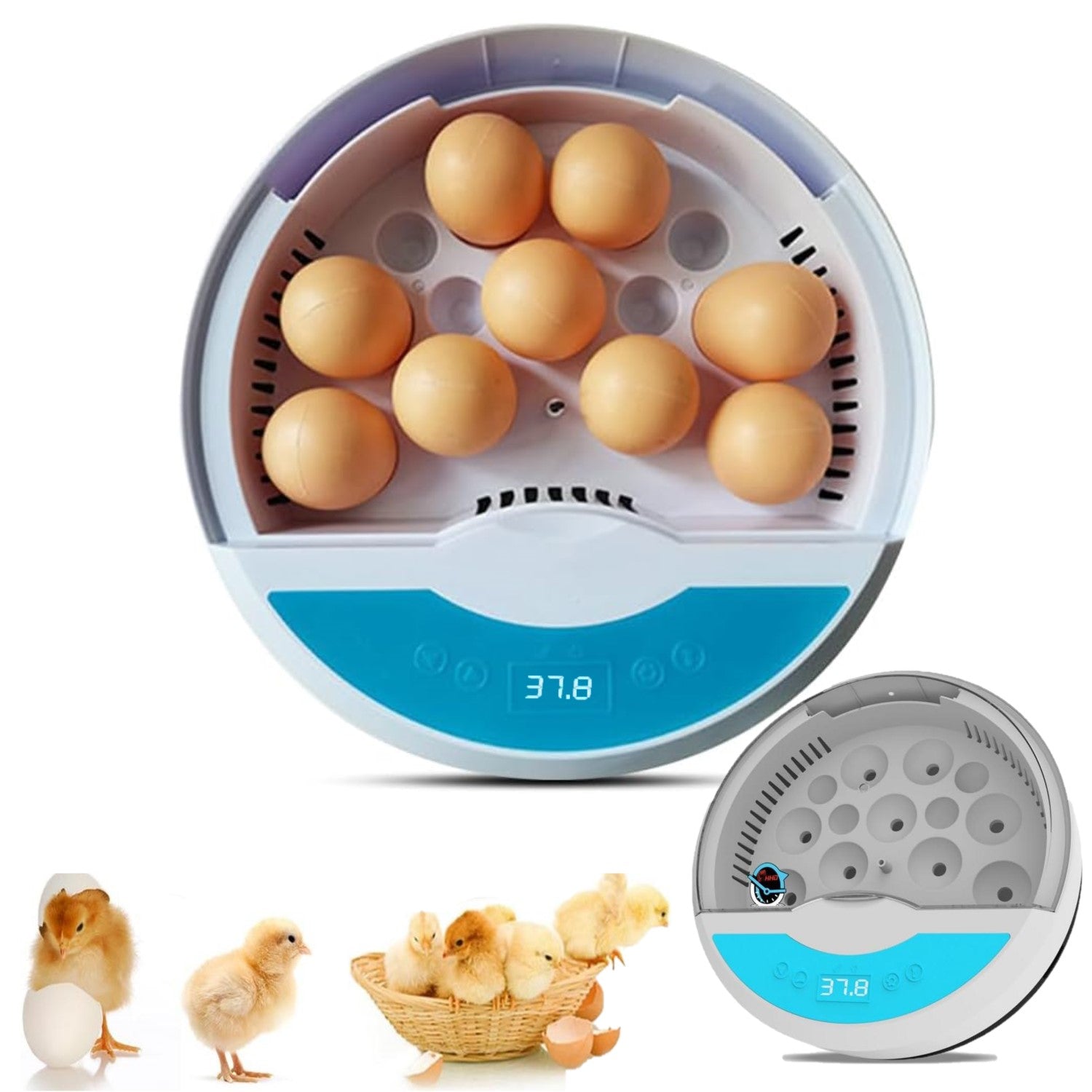 Do I need a Digital Egg Incubator?
