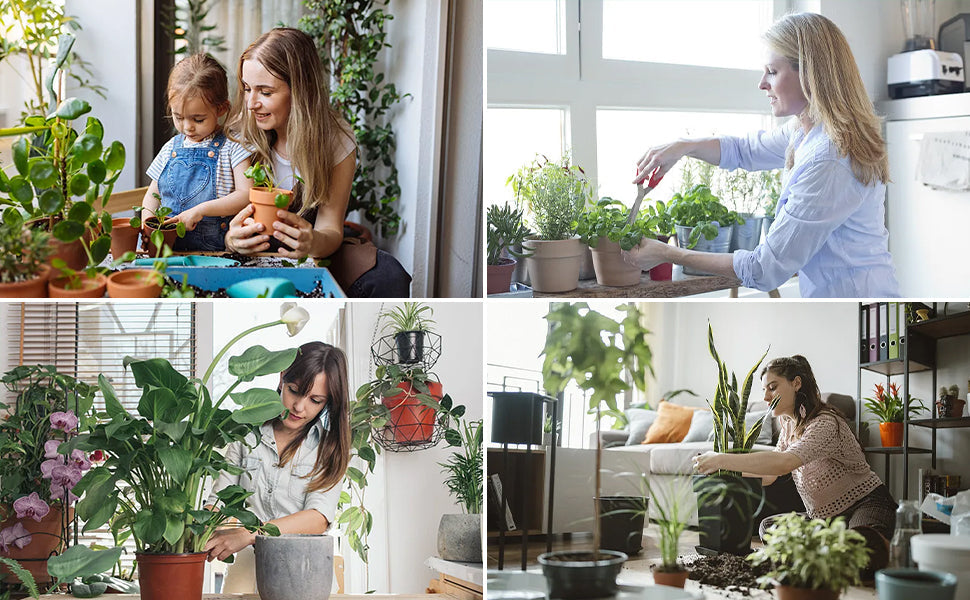 The Science of Grow Lights: How to Help Your Indoor Plants Thrive