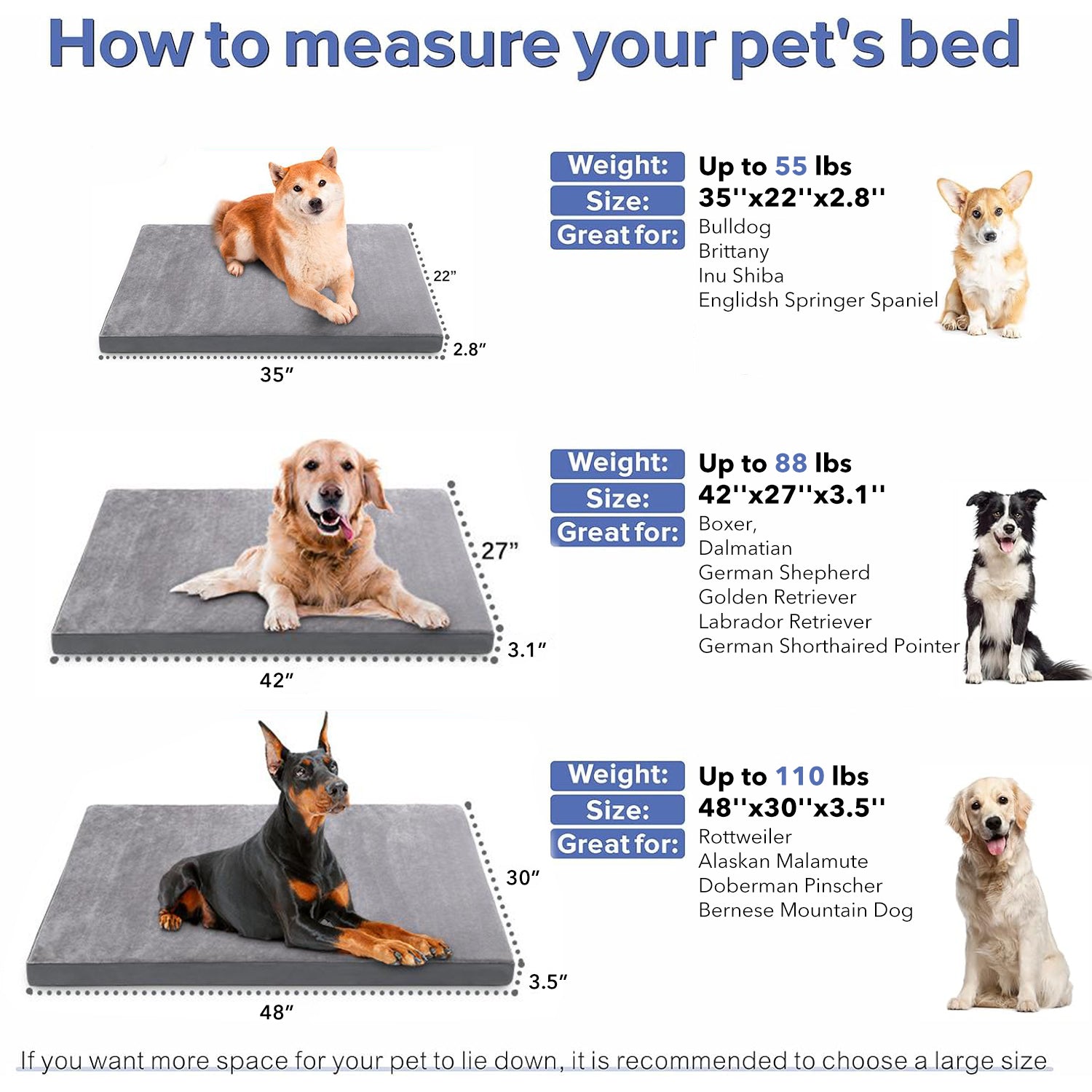 Dog Bed for Small/Medium/Large Dogs, Soft Plush Pet Crate Bed with Rose Velvet Bn-link