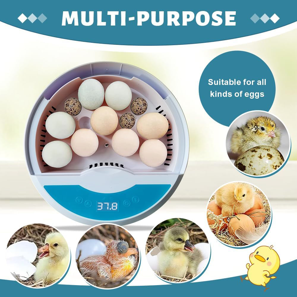 BN-LINK 9/18/52 Egg Incubator With Temperature Control, Touch Operation& Temperature Display, Mini Egg Incubator With LED Candler, Sink & Plastic Uptake Tray, Low Noise