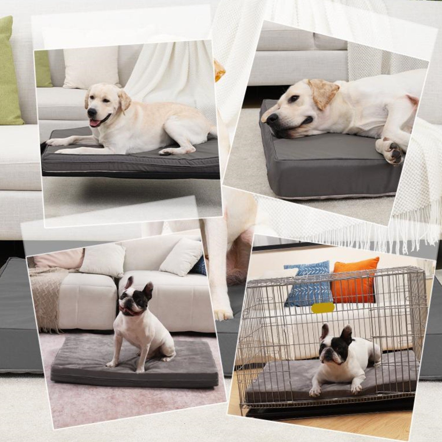 Dog Bed for Small/Medium/Large Dogs, Soft Plush Pet Crate Bed with Rose Velvet Bn-link