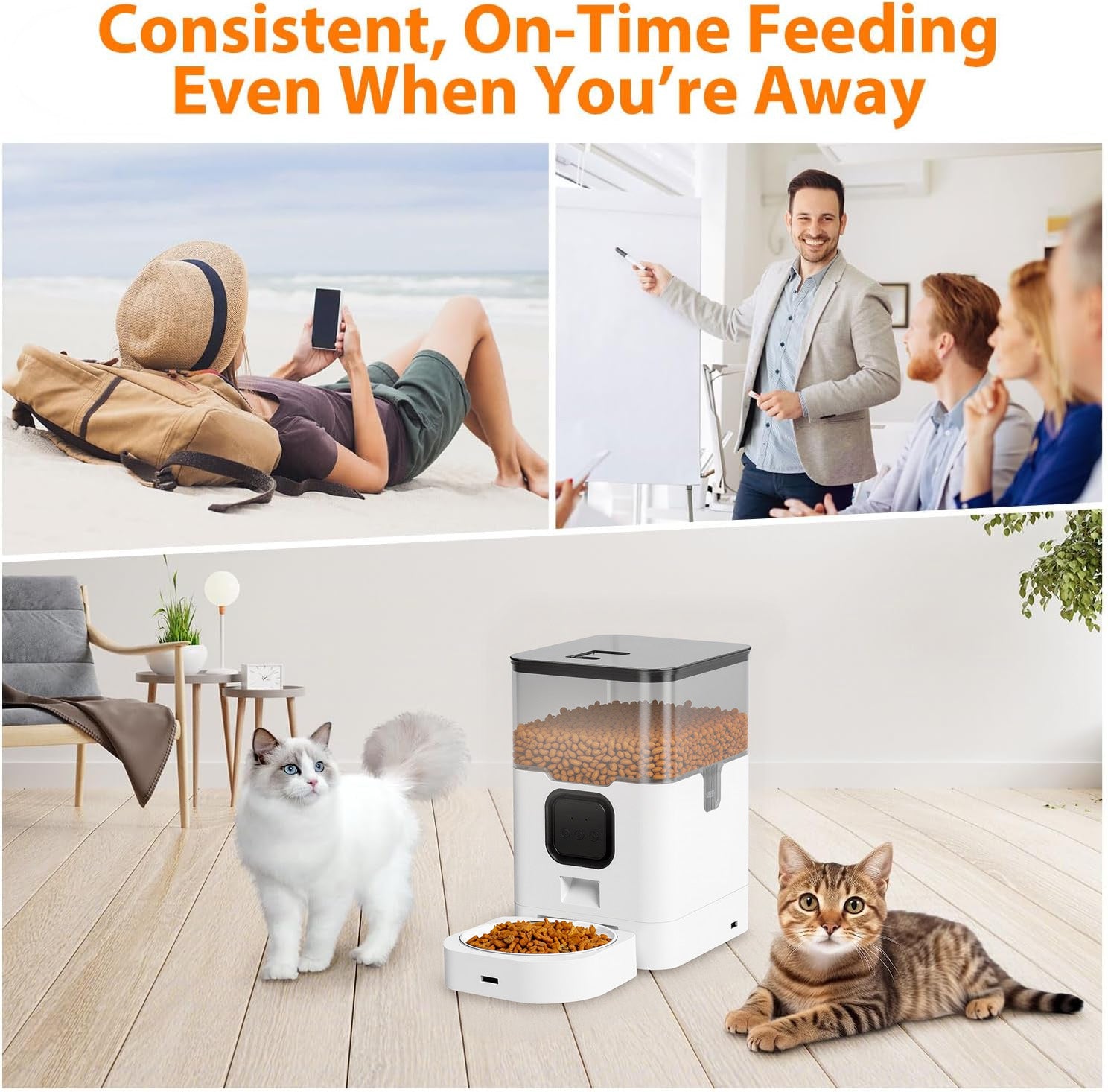 Automatic Cat Feeder 4L/6L WIFI, 2.4G WiFi Timed Cat Food Dispenser, 4L Automatic Cat Food Dispenser for Small Pets Indoor Bn-link