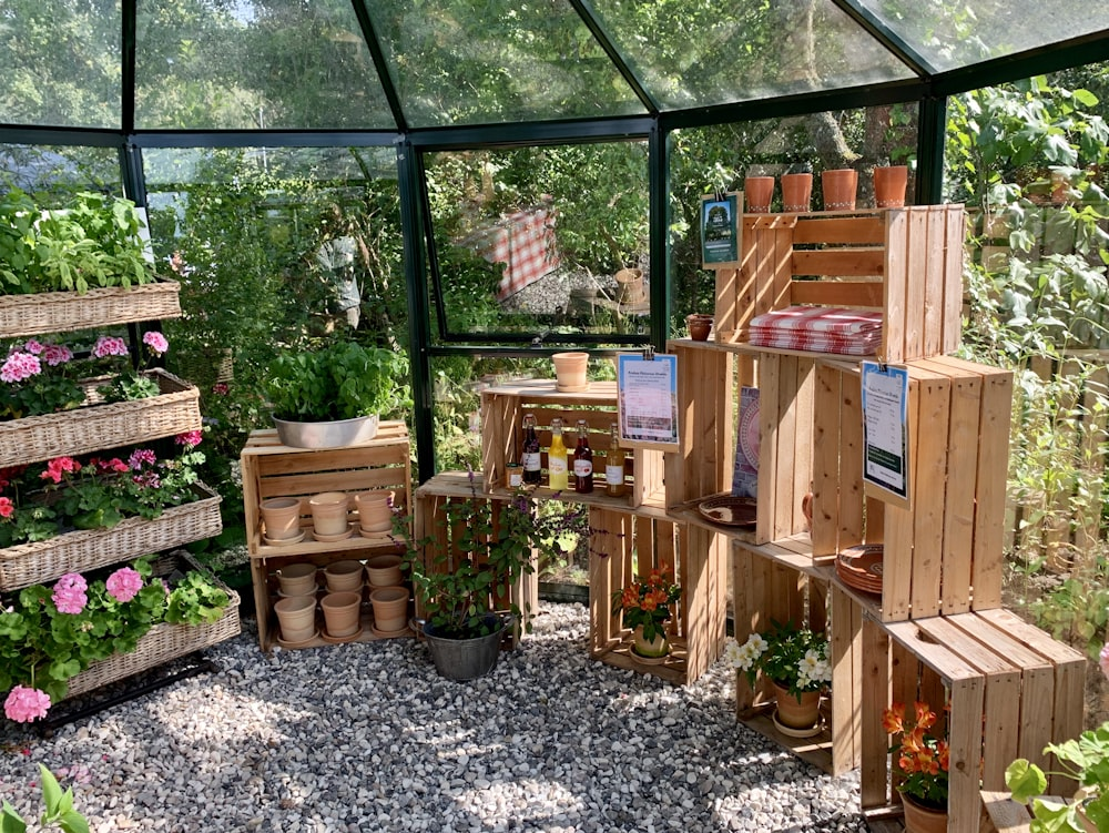The Ultimate Guide to Build Your Small Greenhouse for Vegetables