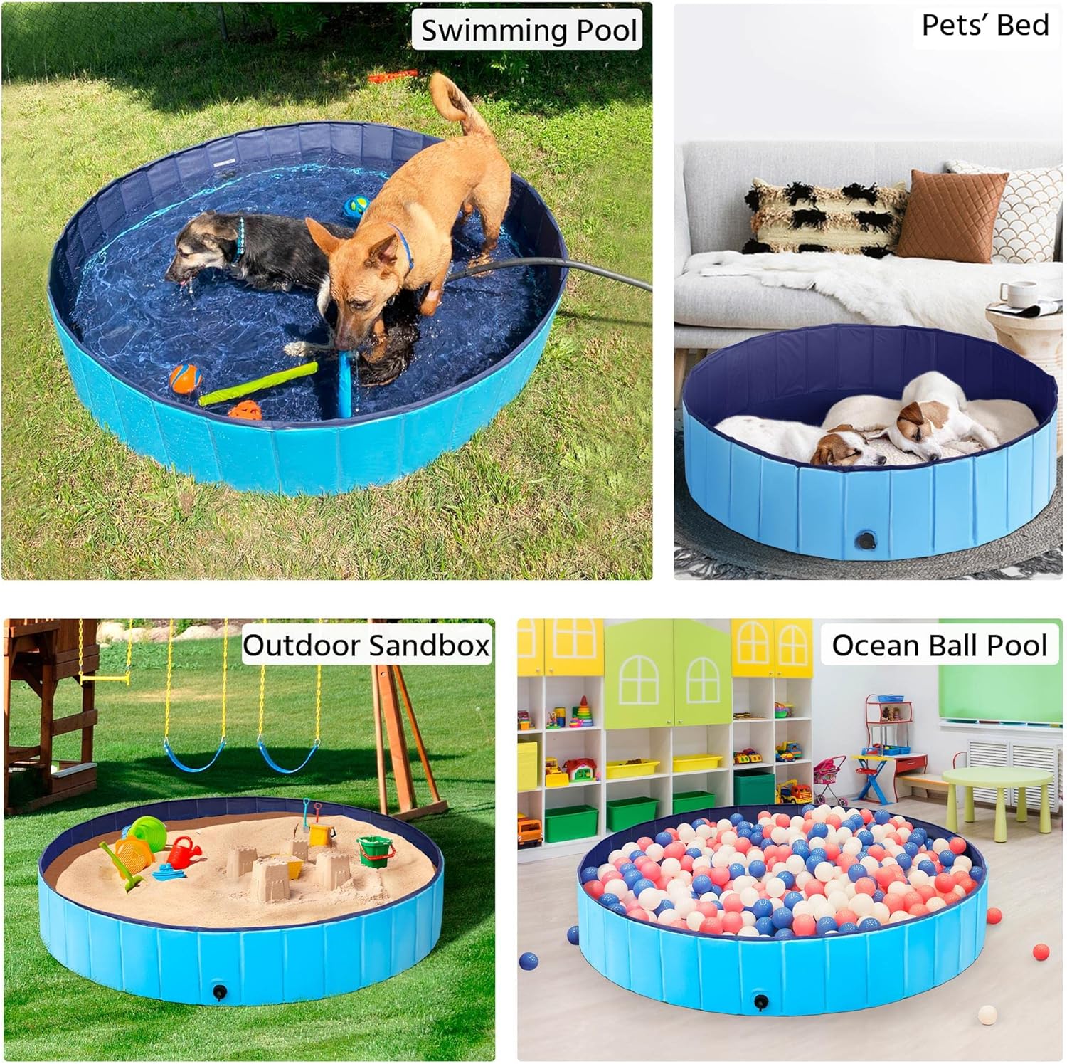 Why Do Pets Need Their Own Pool?