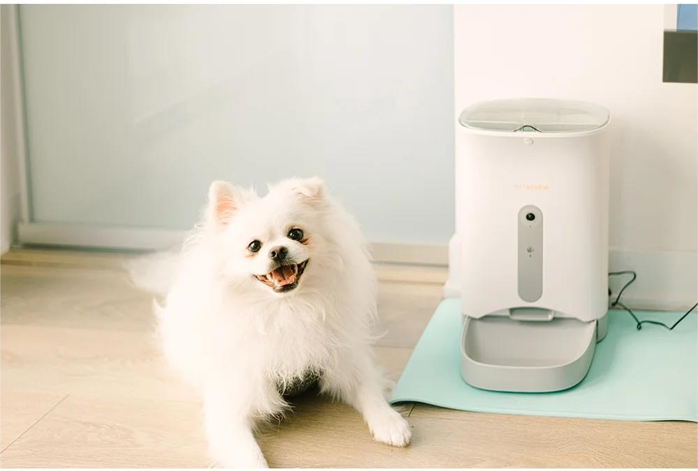 Smart Pet Feeders-be a responsible pet parent