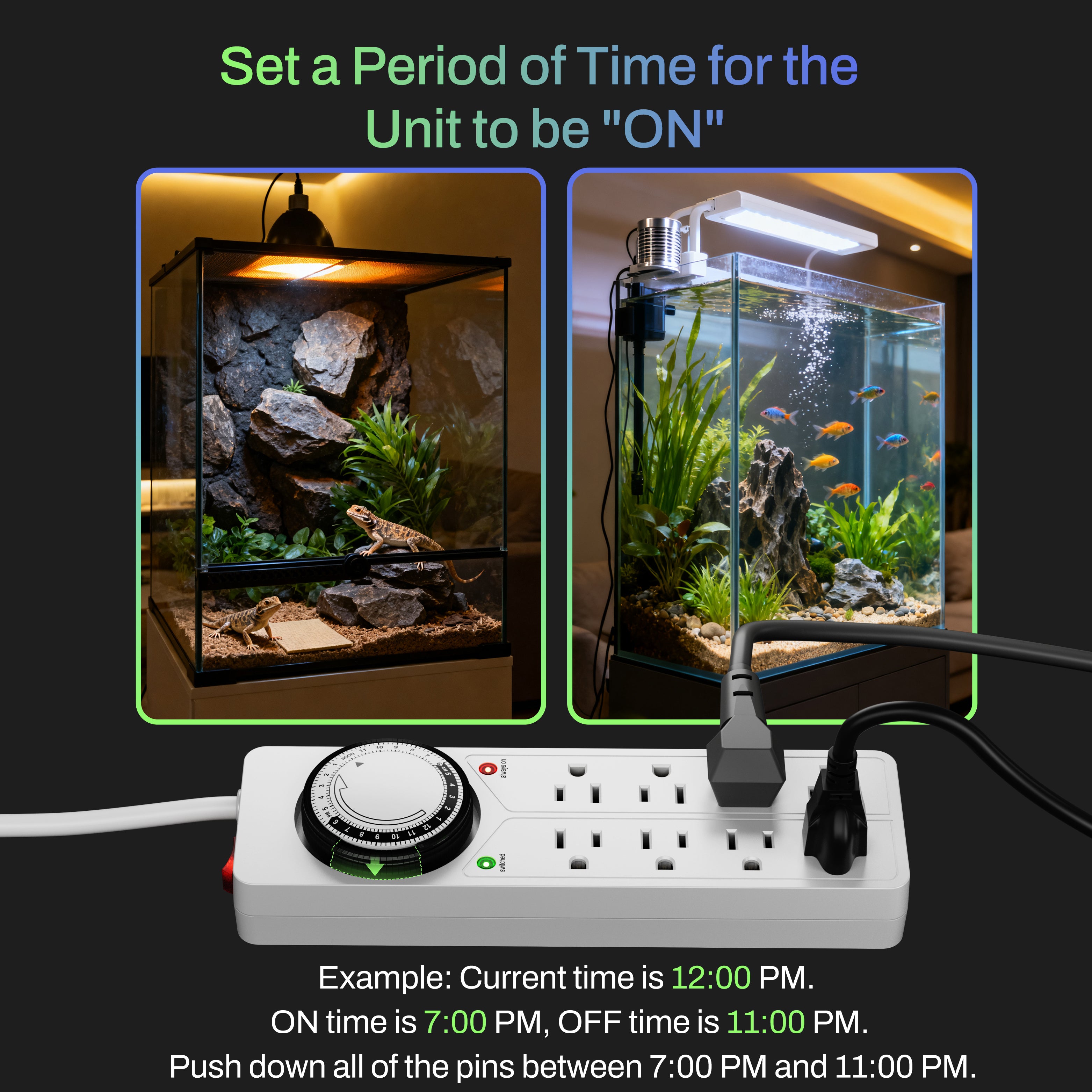 Surge Protector with 8 Strip Outlets & Timer BN-LINK