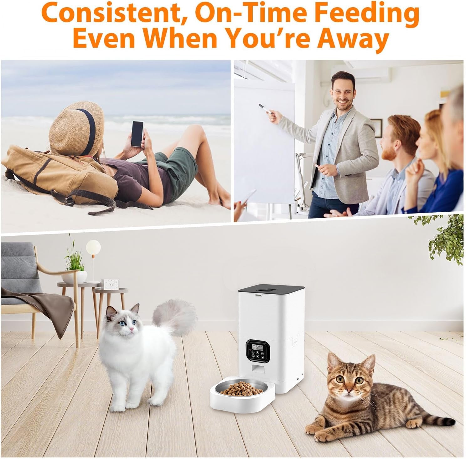 Automatic Cat Feeder 4L, Timed Cat Food Dispenser, 4L Automatic Cat Food Dispenser for Small Pets Indoor Bn-link